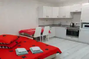 Stilnaya studiya vo u metro Novokosino-shag do uyuta Apartments, Reutov