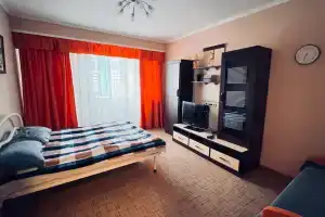 Uyutnaya so vsem neobhodimym Apartments