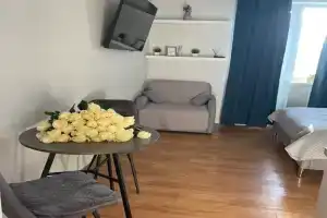 Uyutnaya -studiya Apartments, Kotel'niki