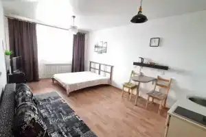 Uyutnaya studiya okolo aeroporta Tolmachevo Apartments, Ob'