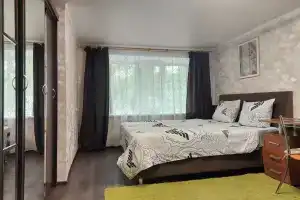 Dvushka v tsentre, u hrustalnogo rynka s novym remontom Apartments, Gus'-Khrustal'nyy