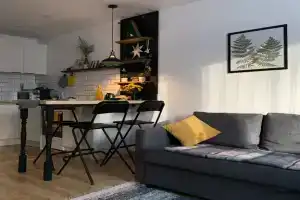 dlya vashego otdyha v Karelii Apartments, Petrozavodsk