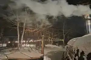 Domik na dereve Alderwood lodge, Vladimir