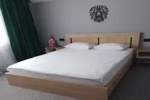 Dvuhmestnyy nomer s 1 krovatyu standart Apartments, Azov