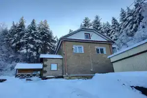 Holiday house in pine forest, Belokurikha