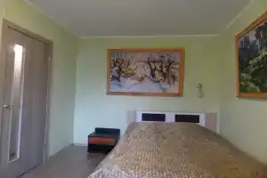 Однокомнатная квартира в краткосрочный найм Центр, Velikiy Novgorod