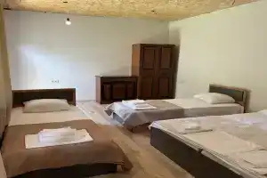 Semeynyy nomer standart Apartments