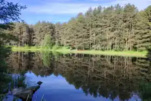 Uyutnaya s vidom na les Apartments, Kineshma