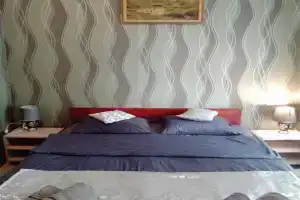 Dvuhmestnyy nomer s 1 krovatyu standart Apartments, Tuapse