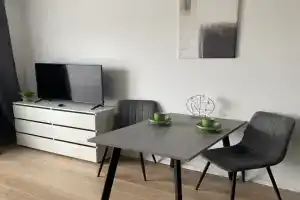 Studiya v skandinavskom stile s balkonom metro Filatov Lug Apartments, Kartmazovo