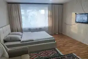 Bolshaya v nachale goroda ryadom s avtovokzalom i parkom Apartments, Zheleznogorsk