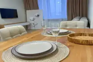 1-komnatnaya Apartments, Petrozavodsk