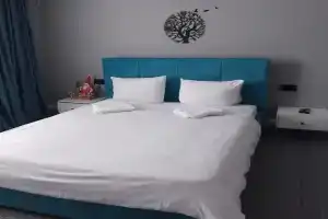 Dvuhmestnyy nomer s 1 krovatyu standart Apartments, Azov