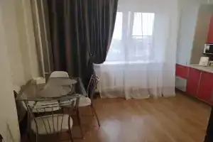Uyutnaya v tsentre goroda Apartments