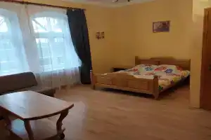 Dvuhmestnyy nomer s 1 krovatyu uluchshennyy Apartments, Dimitriyevka