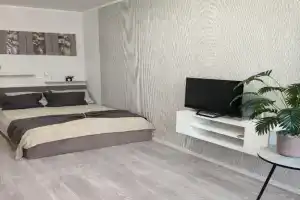Odnokomnatnaya v rayone areny Erofey Apartments
