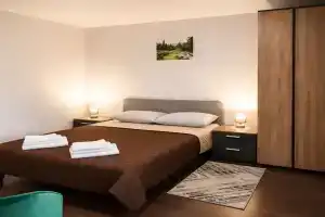 Dvuhmestnyy nomer s 1 krovatyu Standart Apartments, Berdyansk