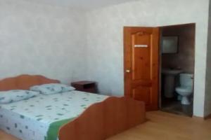 Dvuhmestnyy nomer s 1 krovatyu standart Apartments, Alakhadzi