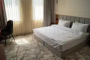 Dvuhmestnyy nomer s 1 krovatyu standart Apartments