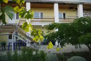 SunFlower Mini-hotel, Nikolayevka