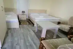 Tryohmestnyy nomer s vidom na sad Apartments