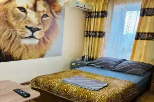 Dvuhmestnyy nomer s 1 krovatyu standart Apartments, Belaja Kalitwa