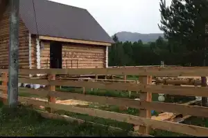 Svetlyy Glamping, Otnurok