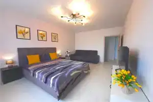 Odnokomnatnaya u samogo lesa Apartments, Kotel'niki