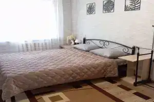 Uyutnaya chistaya v tsentre . Ryadom nahoditsya vsya infrastruktura . Apartments, Mariupol