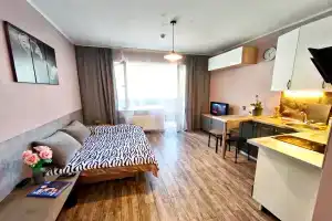 Chistaya, uyutnaya i komfortnaya studiya v Misaylovo. studiya s boylerom Apartments, Misailova