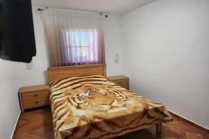 Dvuhmestnyy nomer s 1 krovatyu ekonom Apartments, Jerusalem