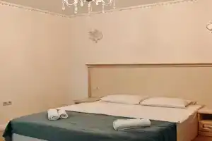 Dvuhmestnyy nomer s 1 krovatyu lyuks Apartments, Domodedovo