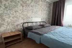 Uyutnaya, teplaya v tsentre goroda Apartments