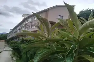 Vezunchik Guest house