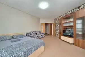 Uyutnaya 1-komnatnaya Apartments