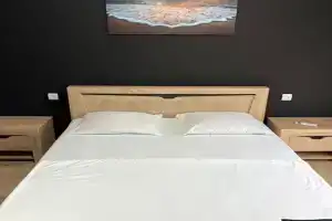 Dvuhmestnyy nomer s 1 krovatyu standart Apartments, Alakhadzi