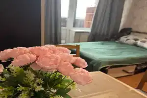 Uyutnaya studiya v tihom rayone s krasivym vidom na les Apartments, Krasnoye Selo