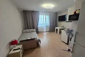 Uyutnaya studiya Apartments