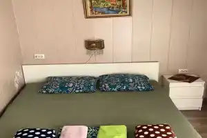 Dvuhmestnyy nomer s 1 krovatyu standart Apartments, Alakhadzi