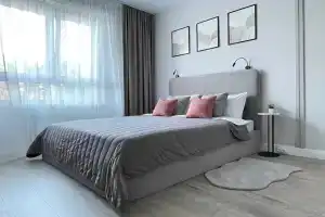Apartament-studiya s vidom na hvoynyy les, Dudkino