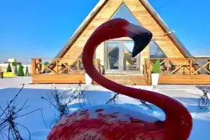 Ne tot les Glamping, Khabarovsk