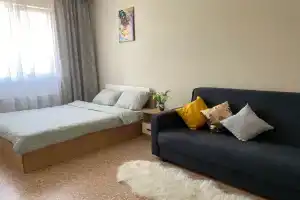 Komfortabelnaya odnokomnatnaya v tsentre goroda Apartments