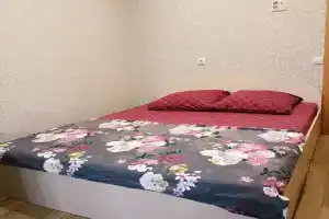 1-komnatnaya Apartments, Vologda