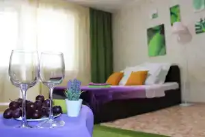 u oblastnoy bolnitsy Apartments, Chelyabinsk