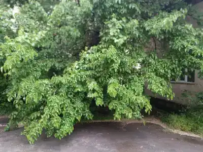 New York Hostel Gai Avenue - 31