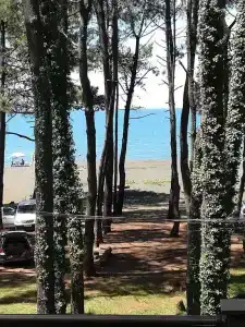 kaprovani Kako - 11