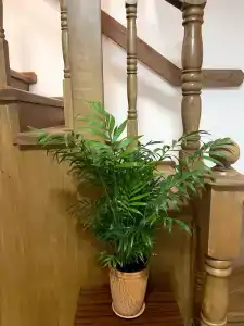 Family Guest House & Hostel - 5