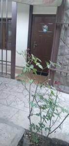 Armenia Guest House in Komitas - 116