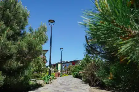 Zhemchuzhina Tavrii - 17