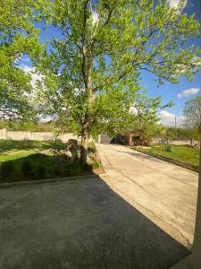 Gl Cottage Guest House - 8